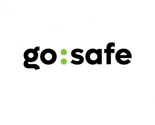 go:safe logo in lowercase bold black lettering with the colon in bright green