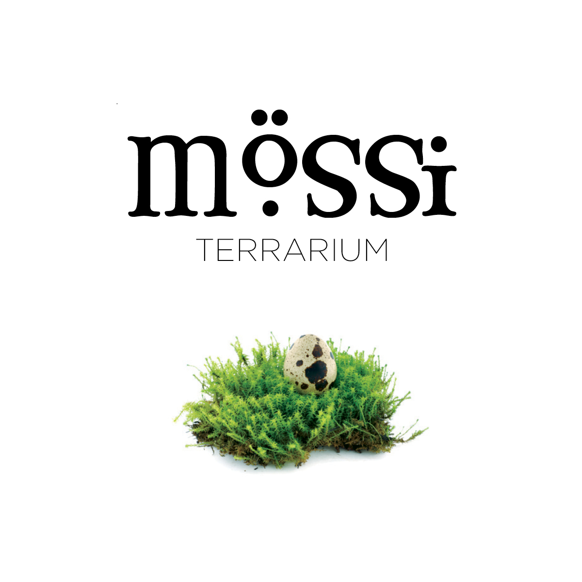 Logo mossi Firebrand.Coop